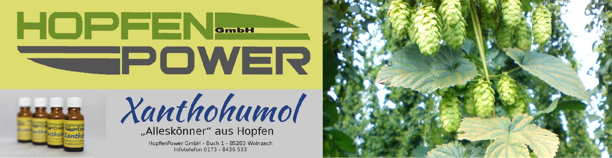 HopfenPower GmbH Xanthohumol Banner
